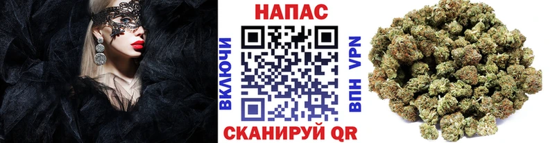 даркнет сайт Пыталово Бошки марихуана SATIVA & INDICA
